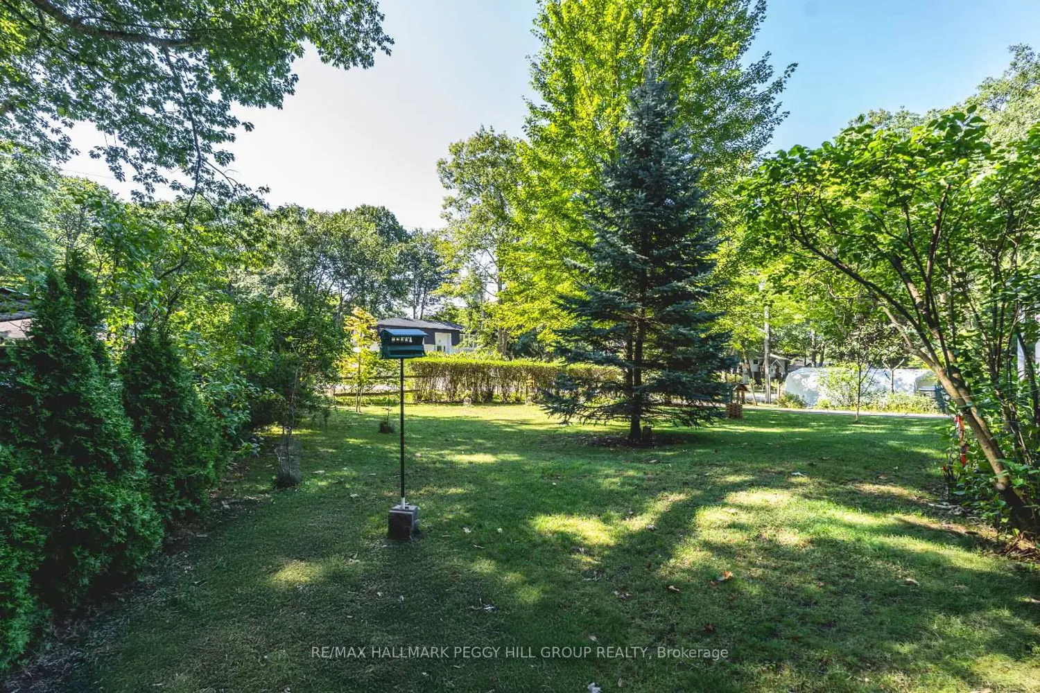 Additional image 16 of 82 Helena Street