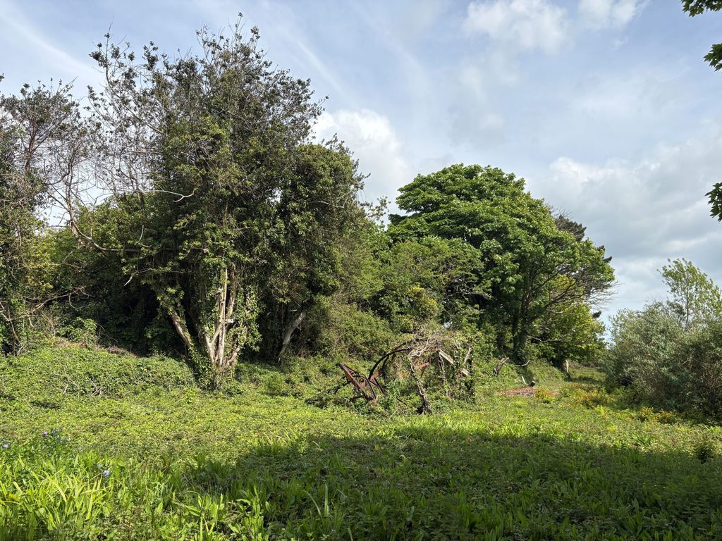 Land for saleThreemilestone, Truro TR3 photo 5
