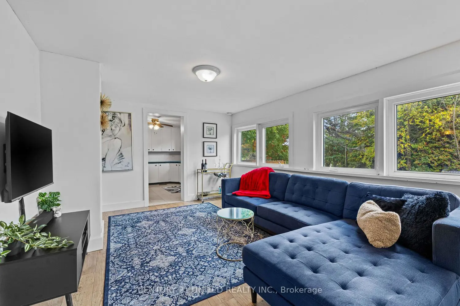 Additional image 5 of 4 O'brien Street