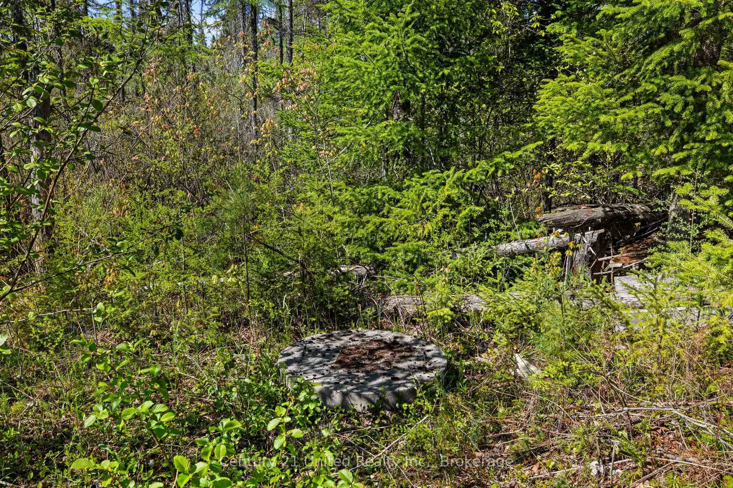 Additional image 10 of 573 Jack Lake Road