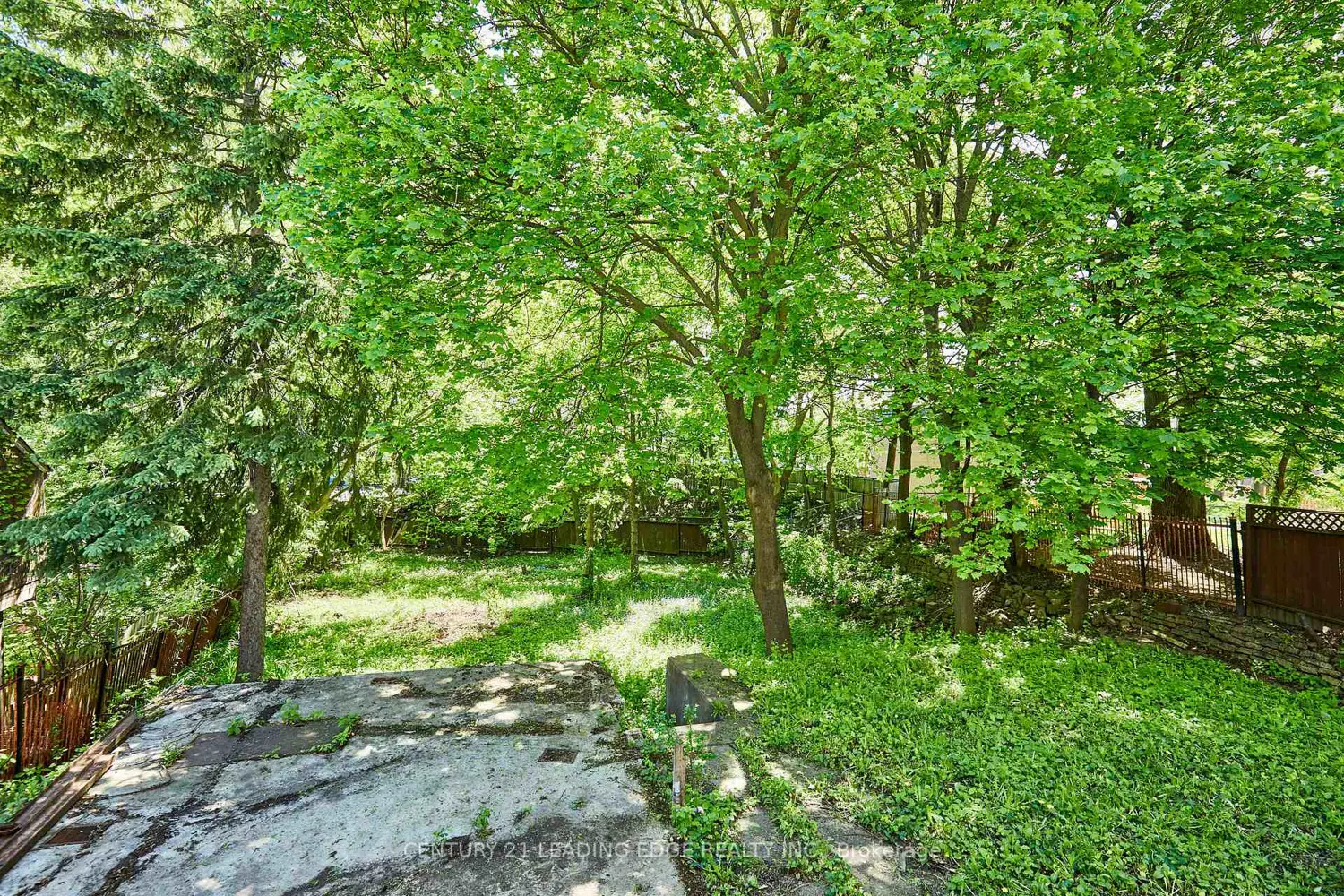 Additional image 14 of 213 Phyllis Avenue