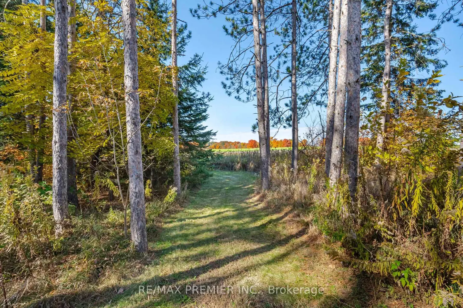 Additional image 12 of 4904 10Th Side Road