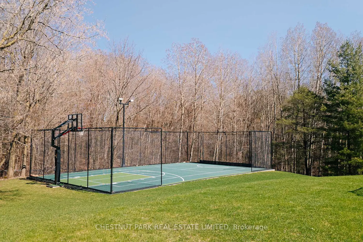 Additional image 17 of 9 Black Court