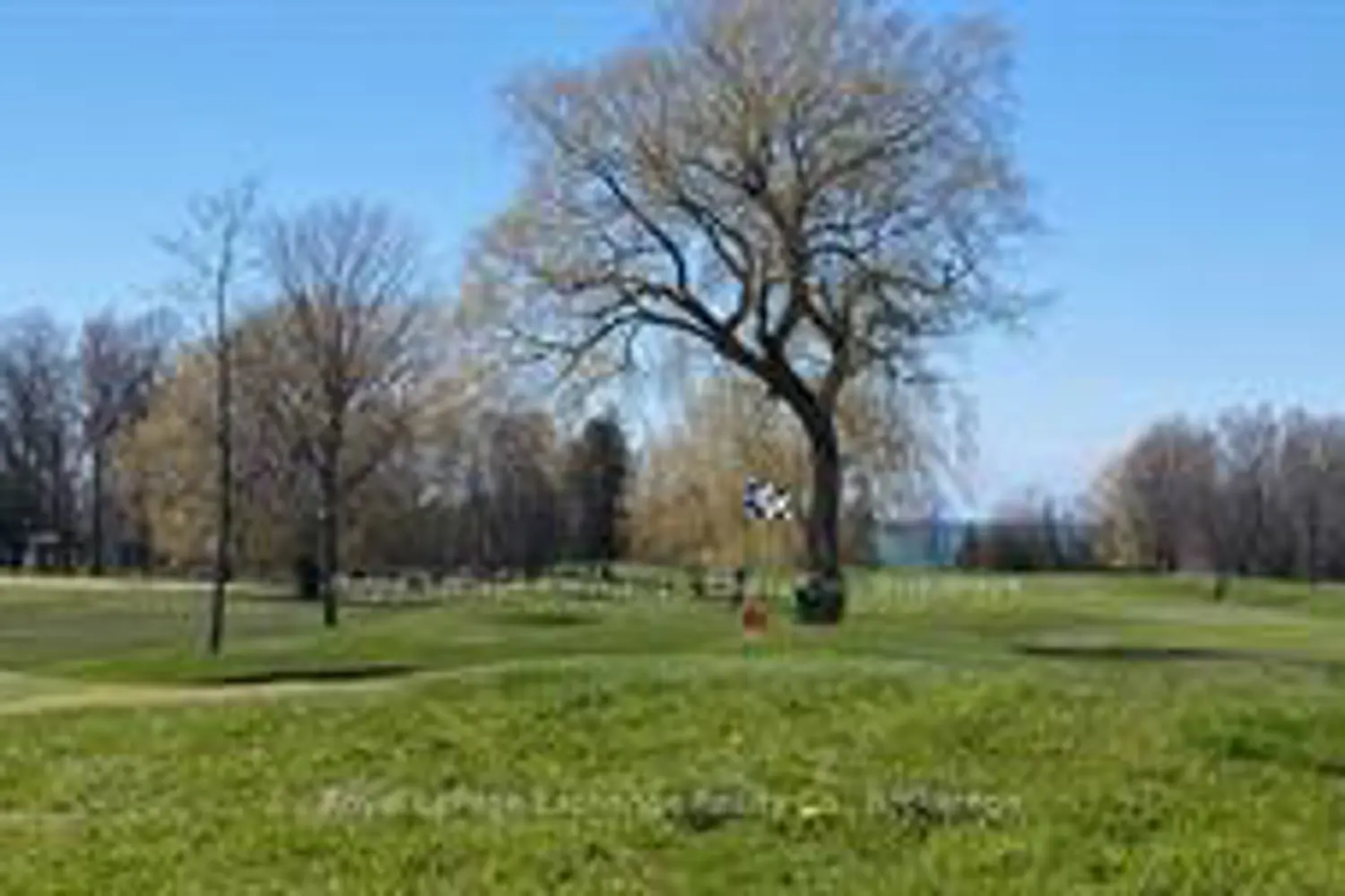 4 Mercedes Crescent photo 2