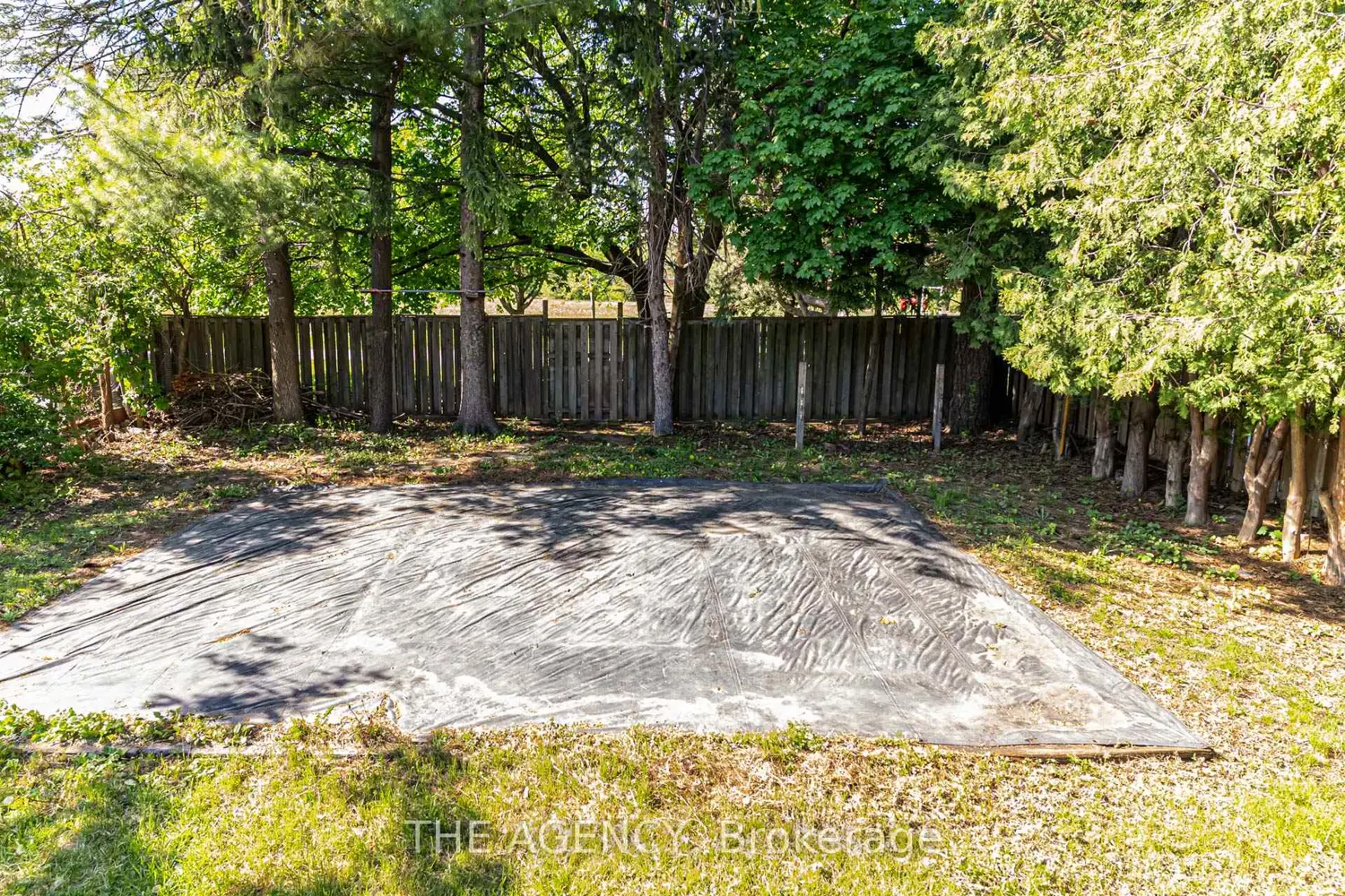 Additional image 15 of 50 Todd Road