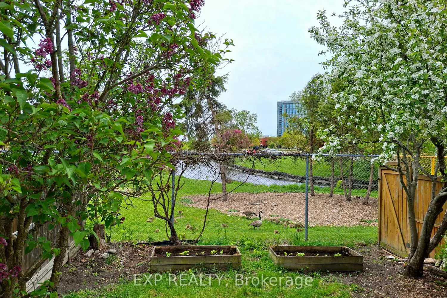 66 Kimbolton Crescent photo 2