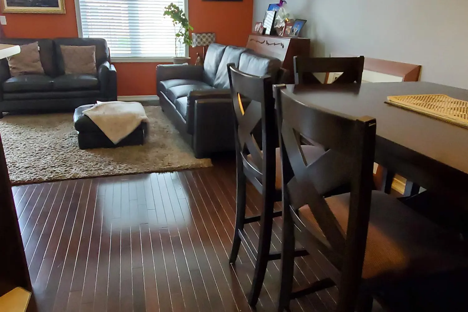 651 Farmstead Drive 59 photo 5