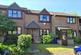 Bargate Wood, Godalming GU7