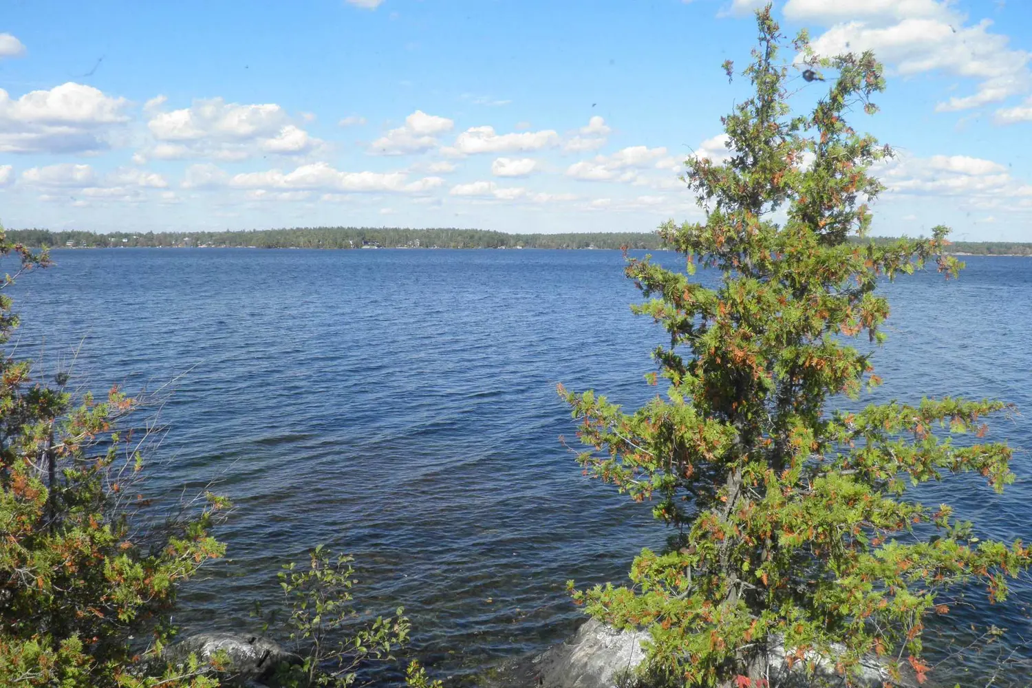 Additional image 6 of 1420 Island 76 Stoney Lake