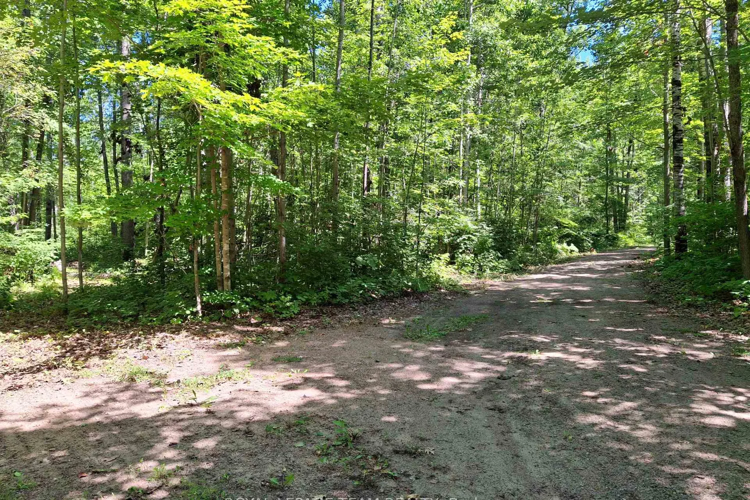112 Golfers Lane photo 4