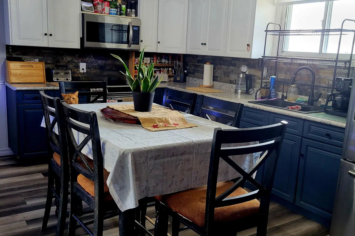 127 Hunter Street photo 4