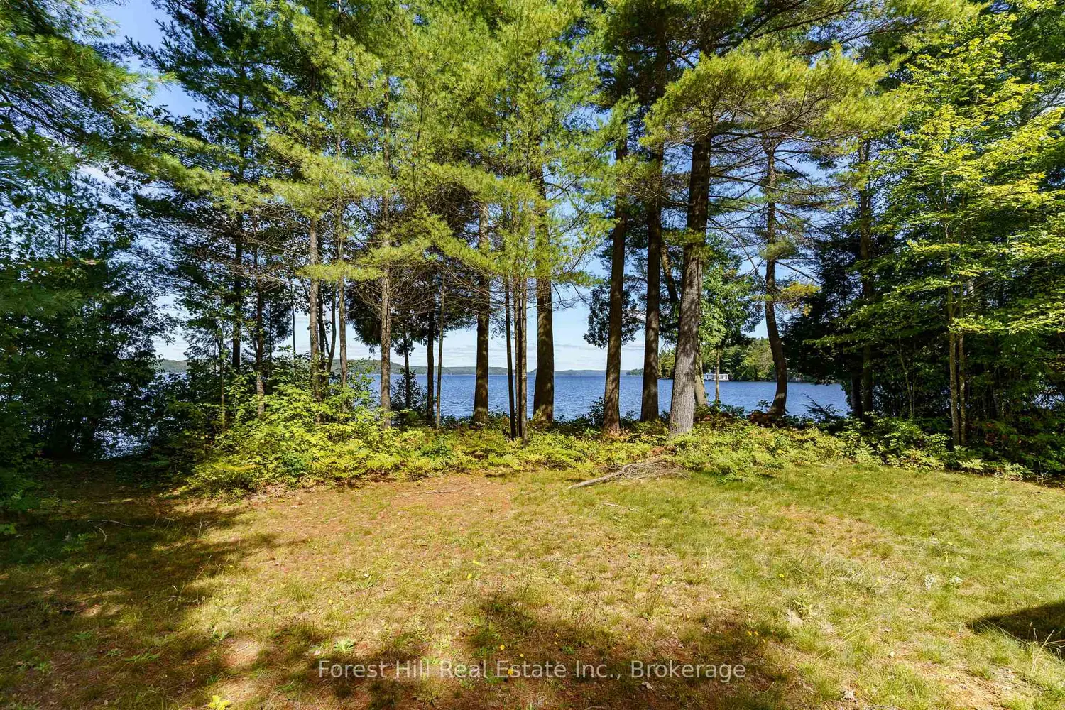 Additional image 2 of 2991 Muskoka Rd 117 Road 2
