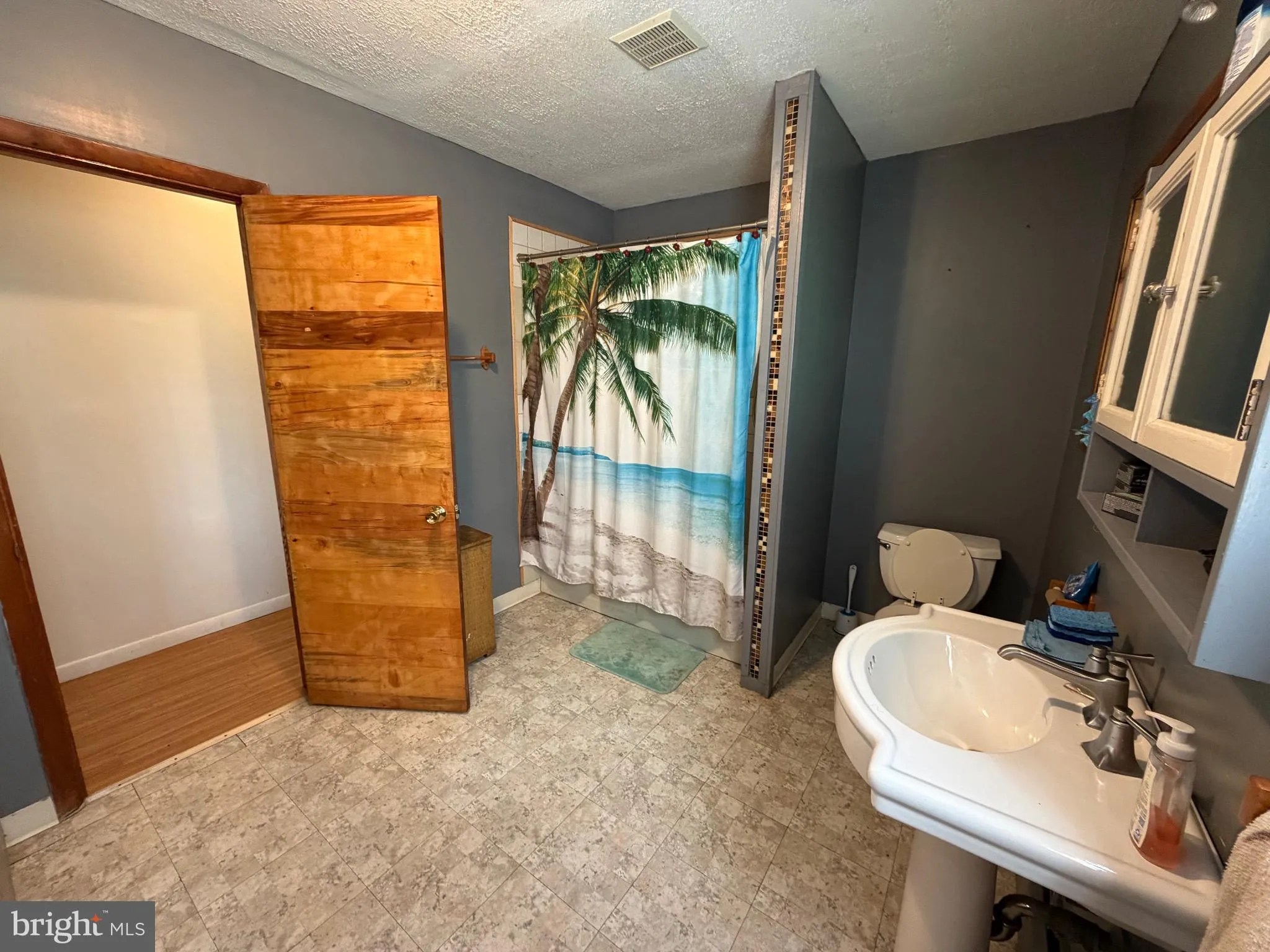 Additional image 46 of 215 Hammond Street, Westernport, MD 21562