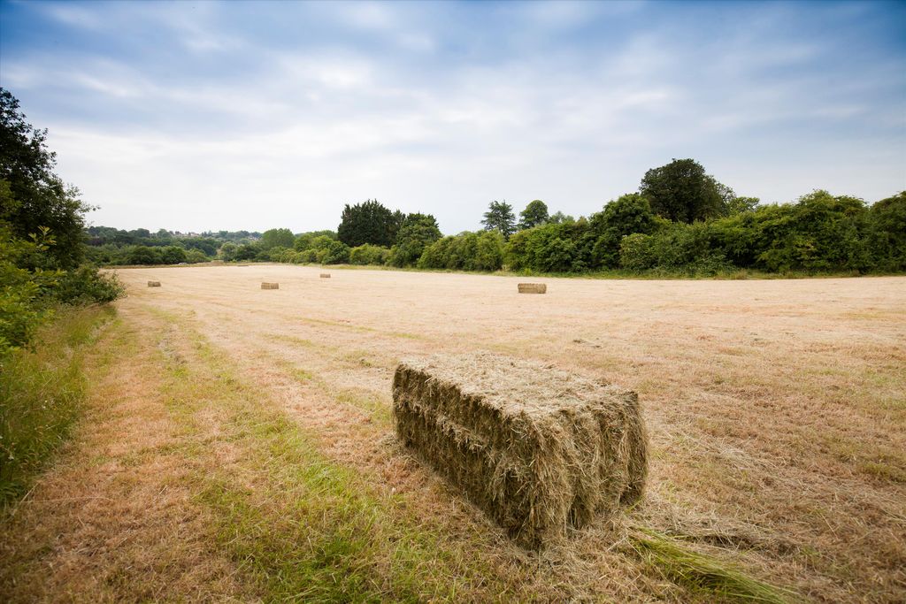 Additional image 12 of 7 bed detached house for saleRunwick, Farnham, Surrey GU10