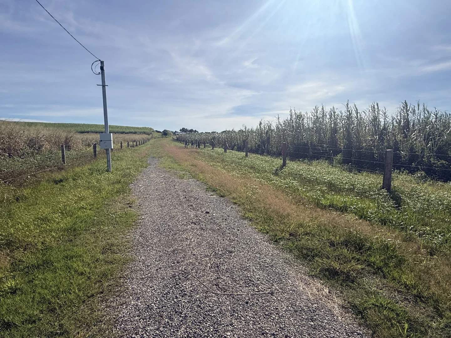 Silkwood QLD 4856 photo 5