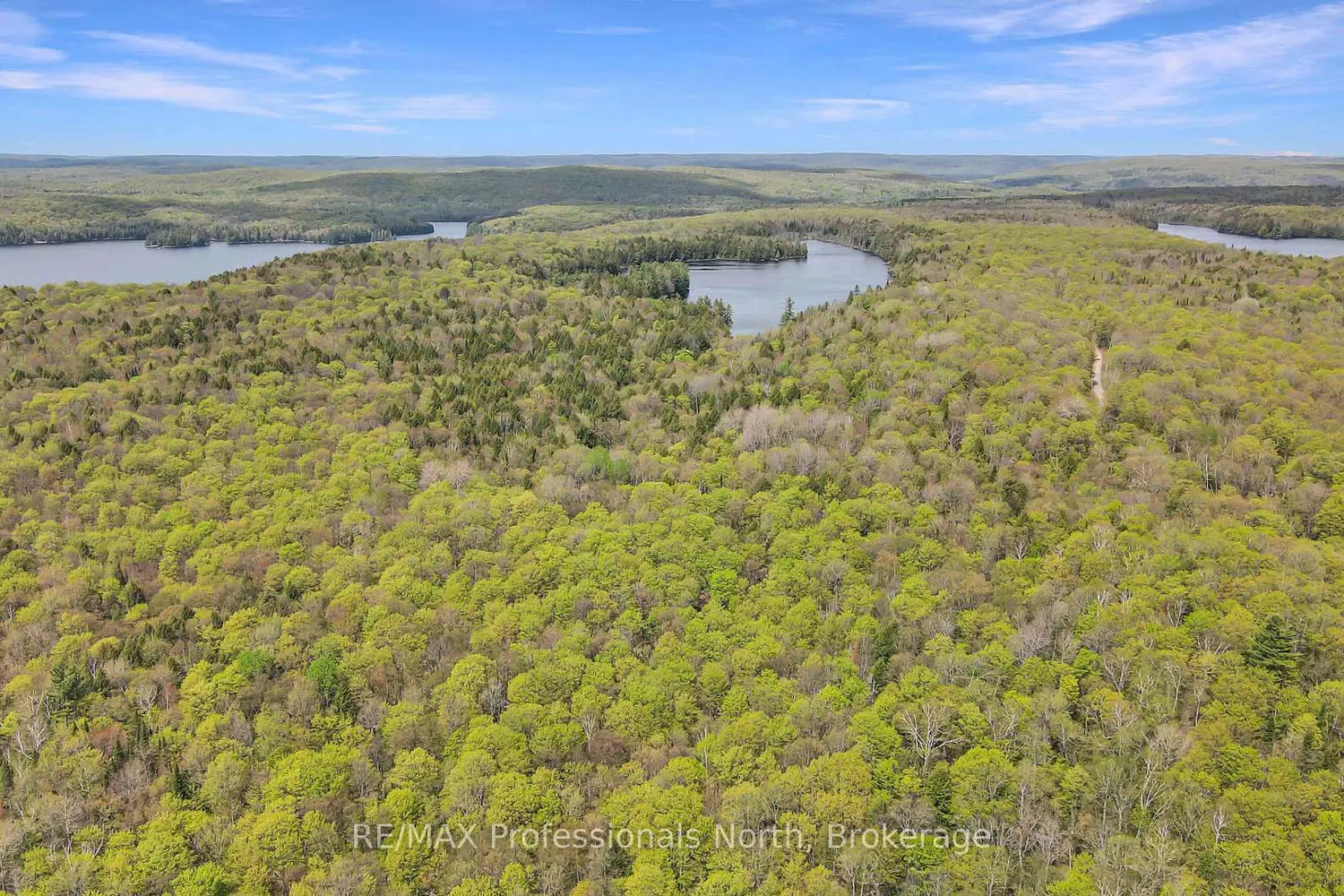 Additional image 18 of 1514 Little Straggle Lake Drive