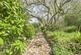 Additional image 10 of Seahill Lane, Chideock, Bridport, Dorset, DT6
