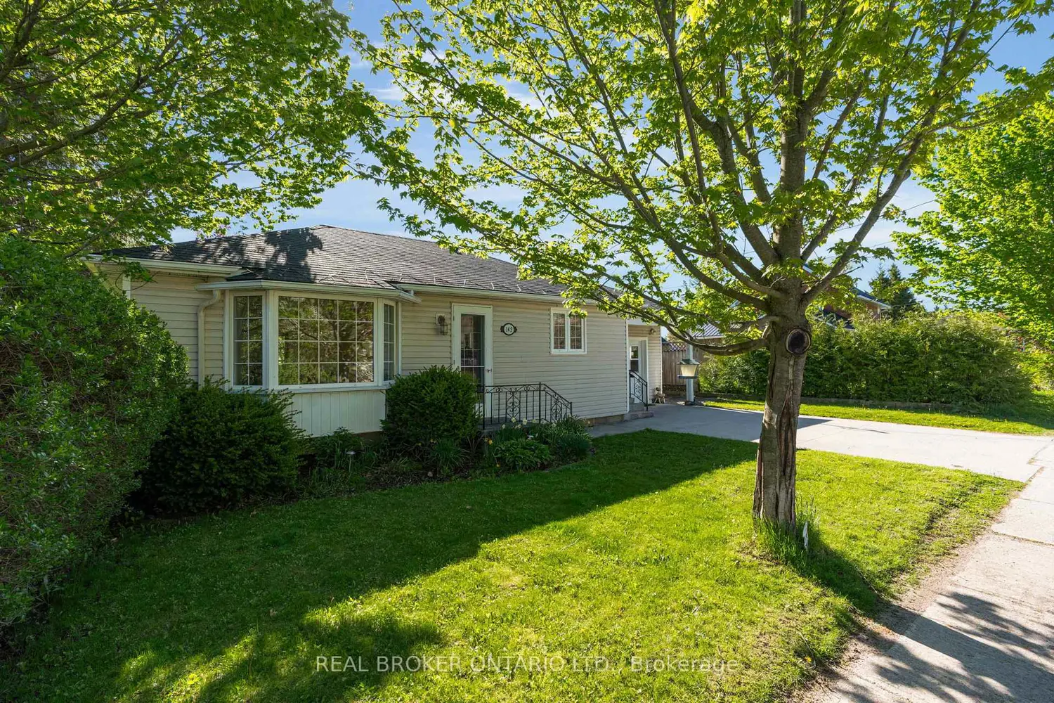 145 Collingwood Street photo 2