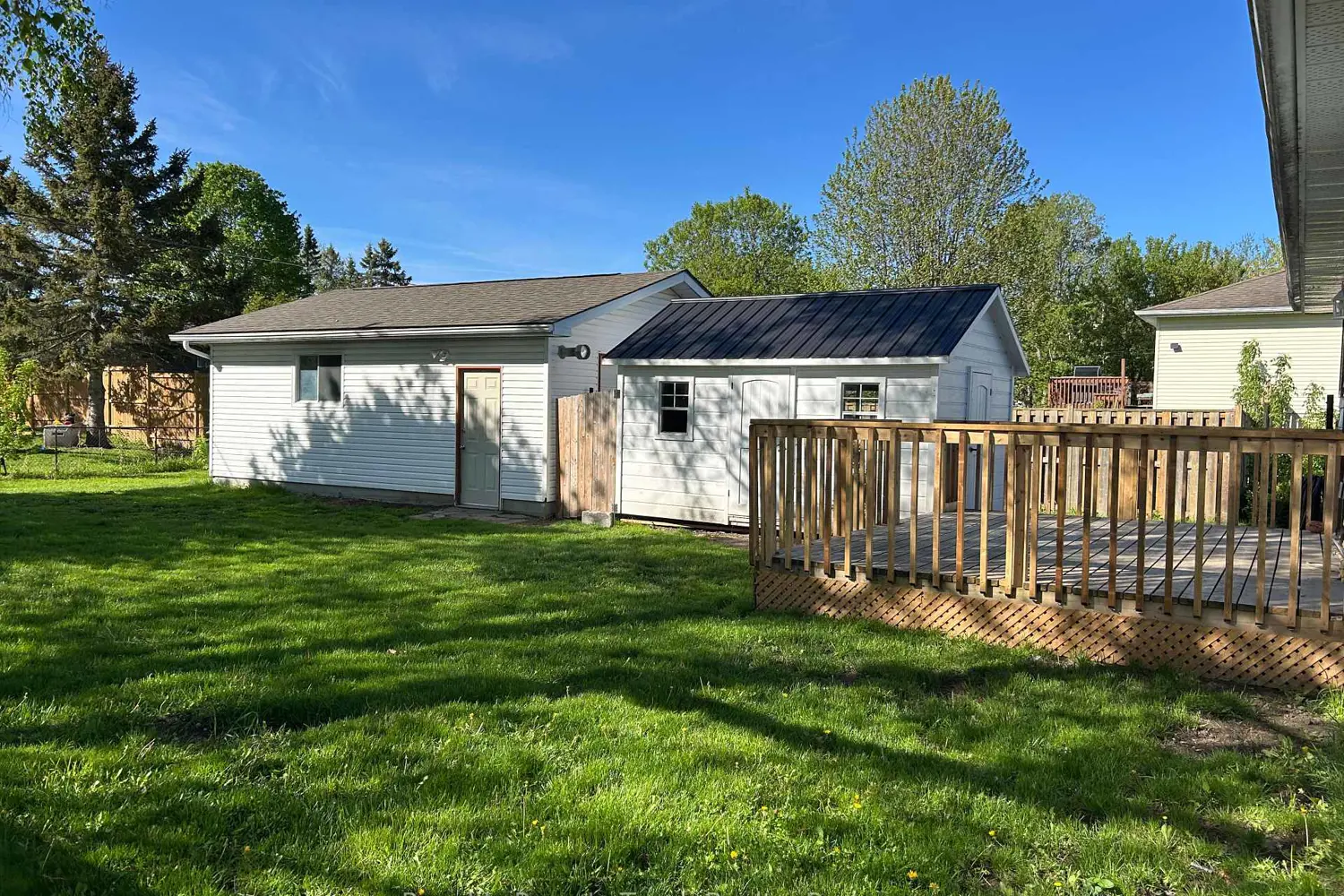 317 Wardell Street photo 5