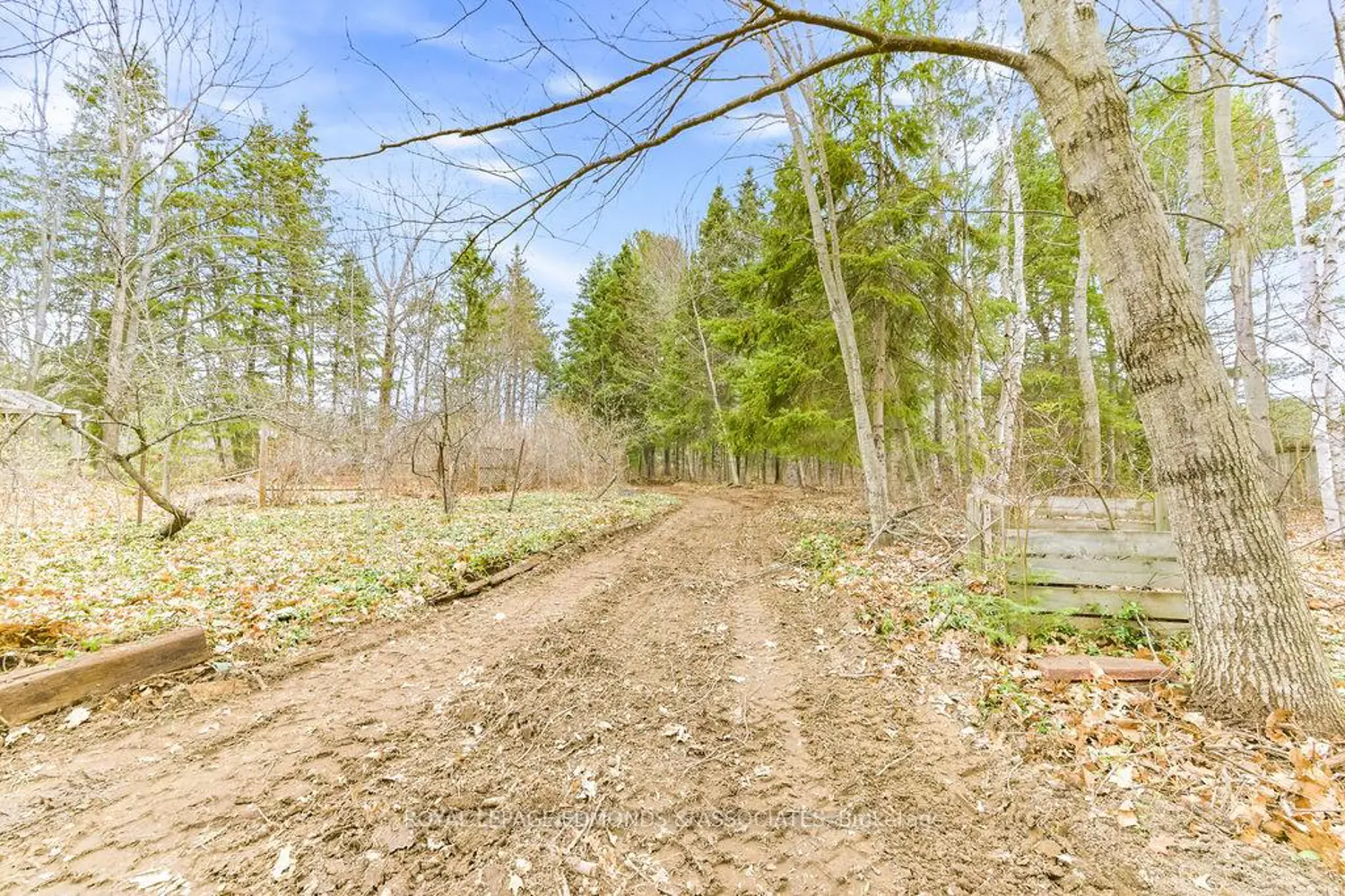 1411 Victoria Street photo 3