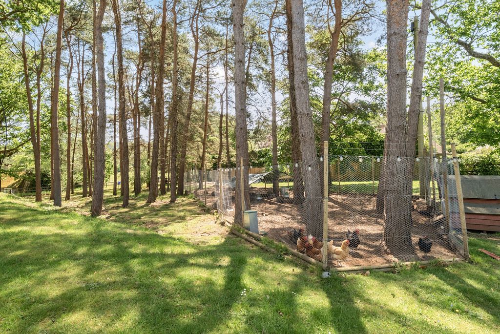 Additional image 39 of 7 bed detached house for saleTilford Road, Farnham GU9