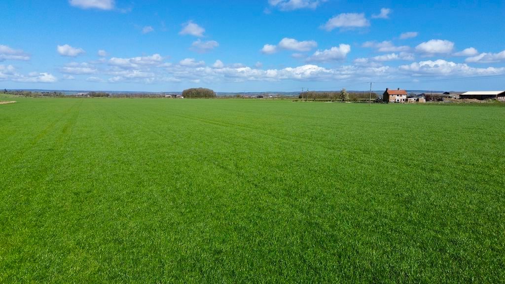 Additional image 14 of Land for saleRyton, Malton YO17