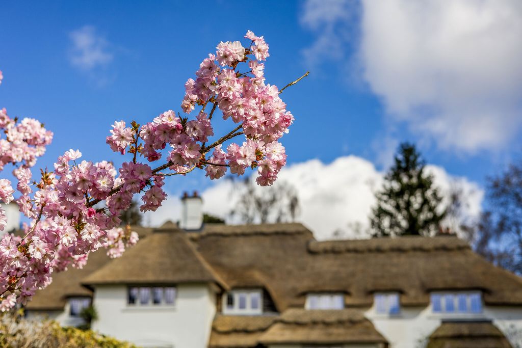 Additional image 20 of 6 bed detached house for saleSwifts Close, Moor Park, Farnham GU10