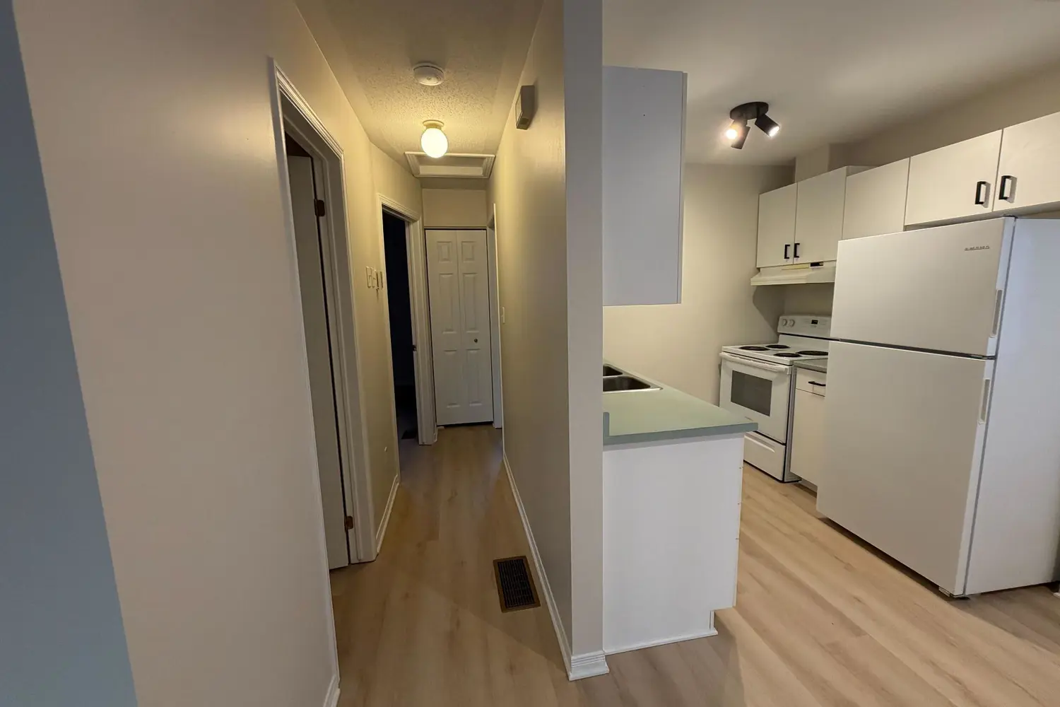 441 Mackay Street photo 4