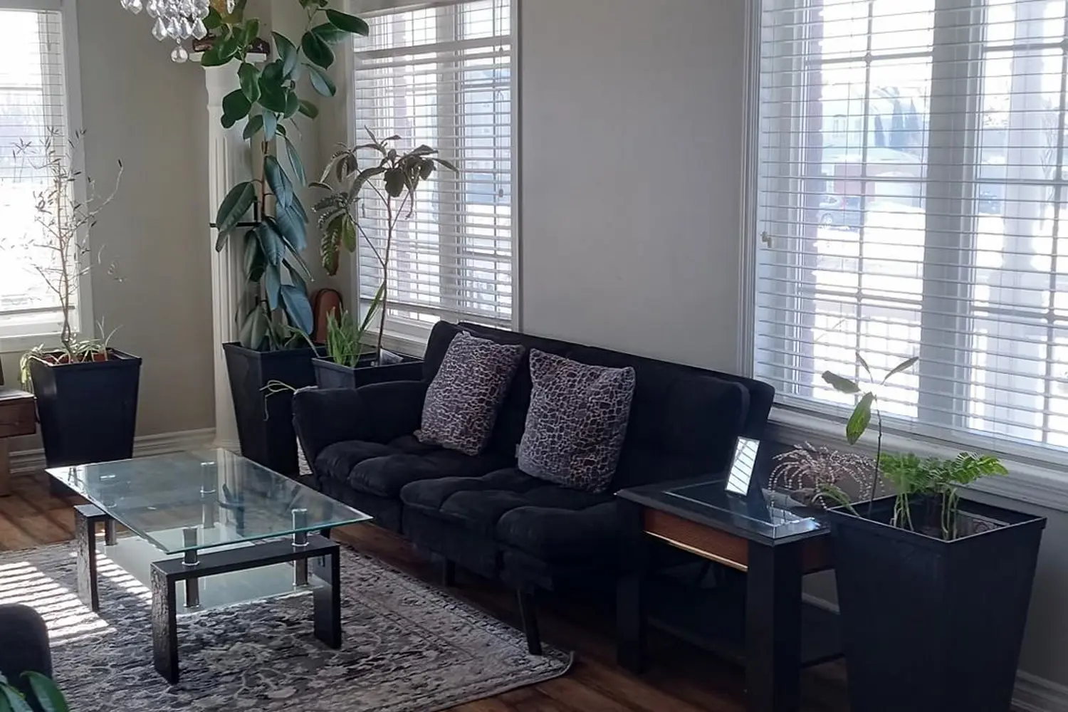 1316 Macinally Court photo 5