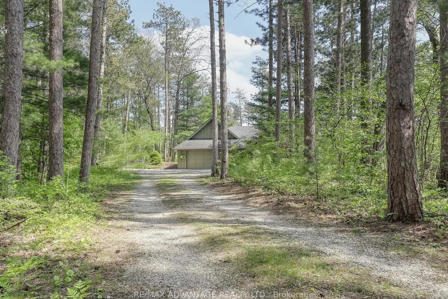 Additional image 2 of 10404 Pinetree Drive