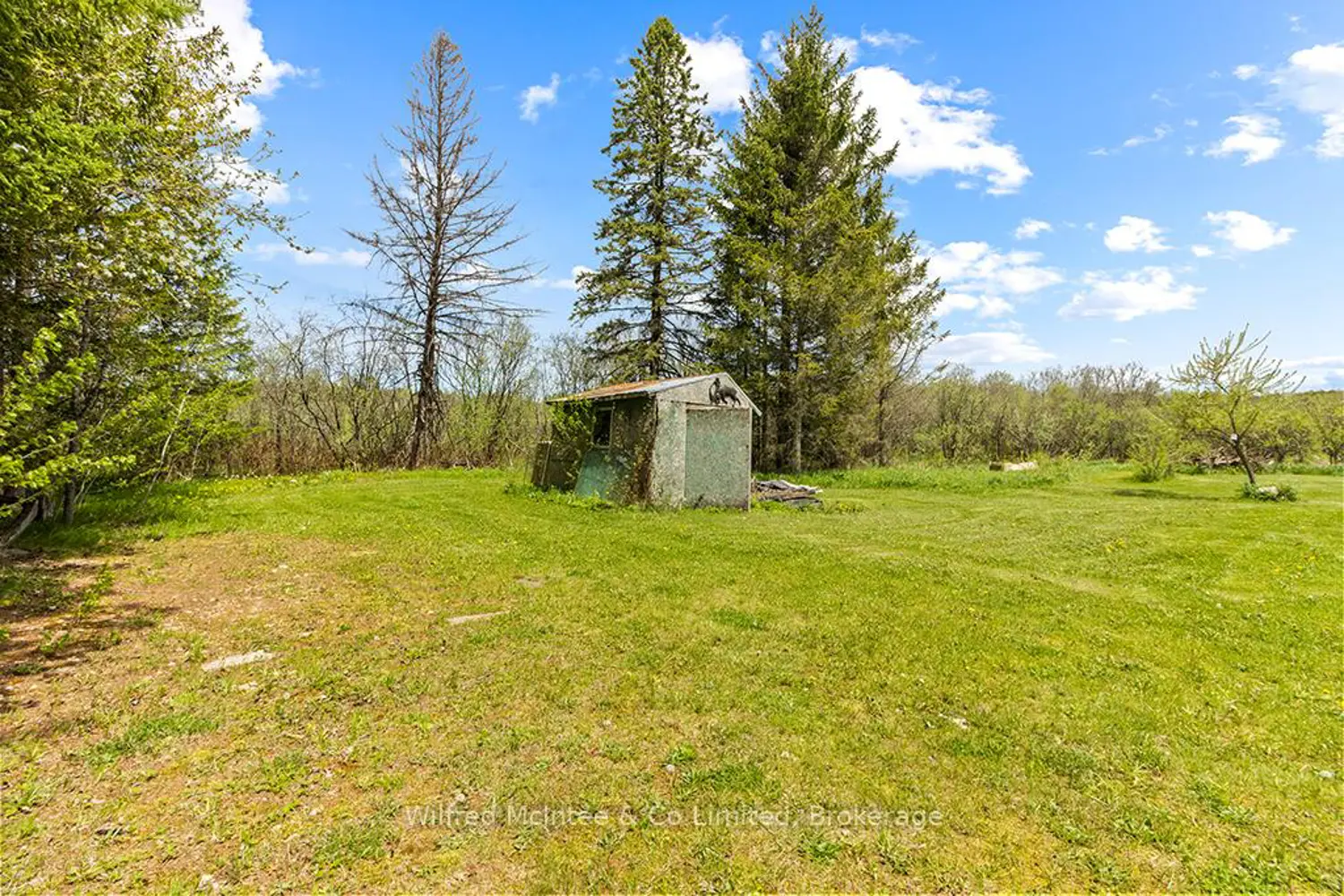 135220 Concession Road 8 Road photo 3