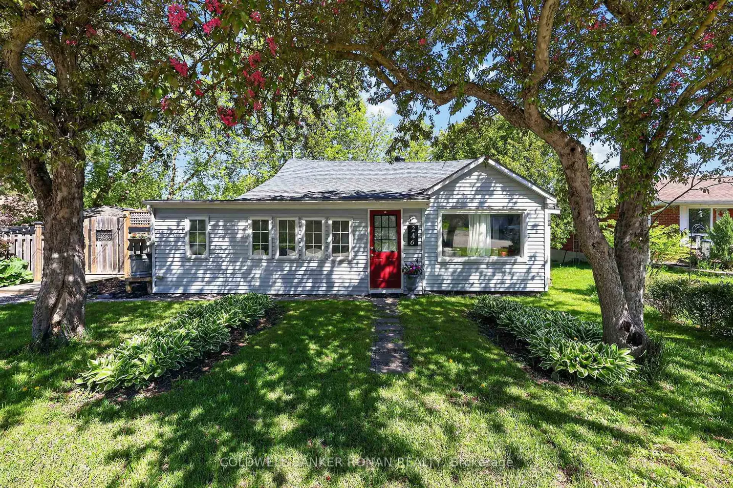 246 Weir Street photo 2