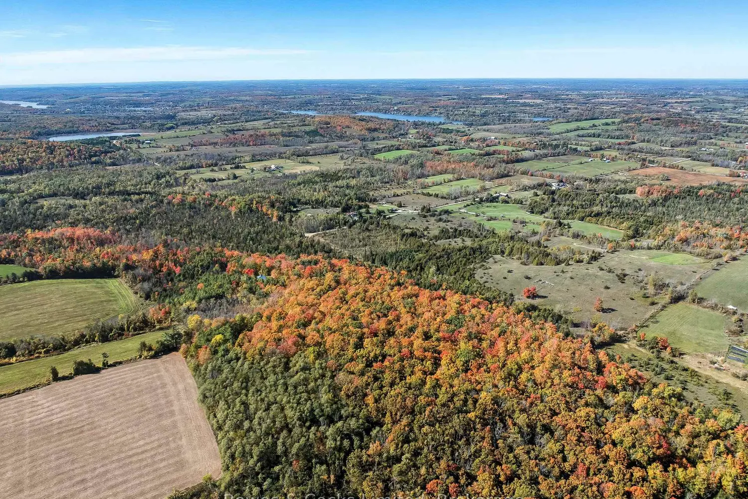 511 Concession Road 12 photo 3