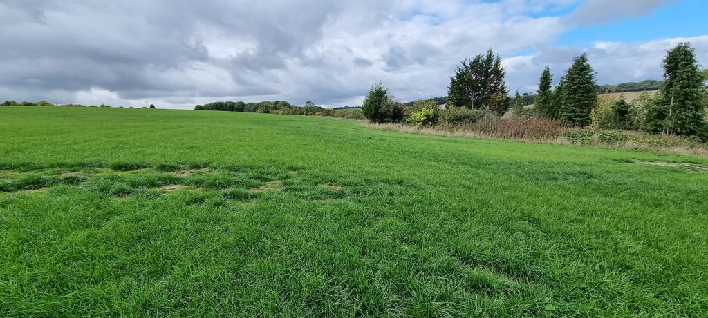 Land for saleMarlborough SN8 photo 5