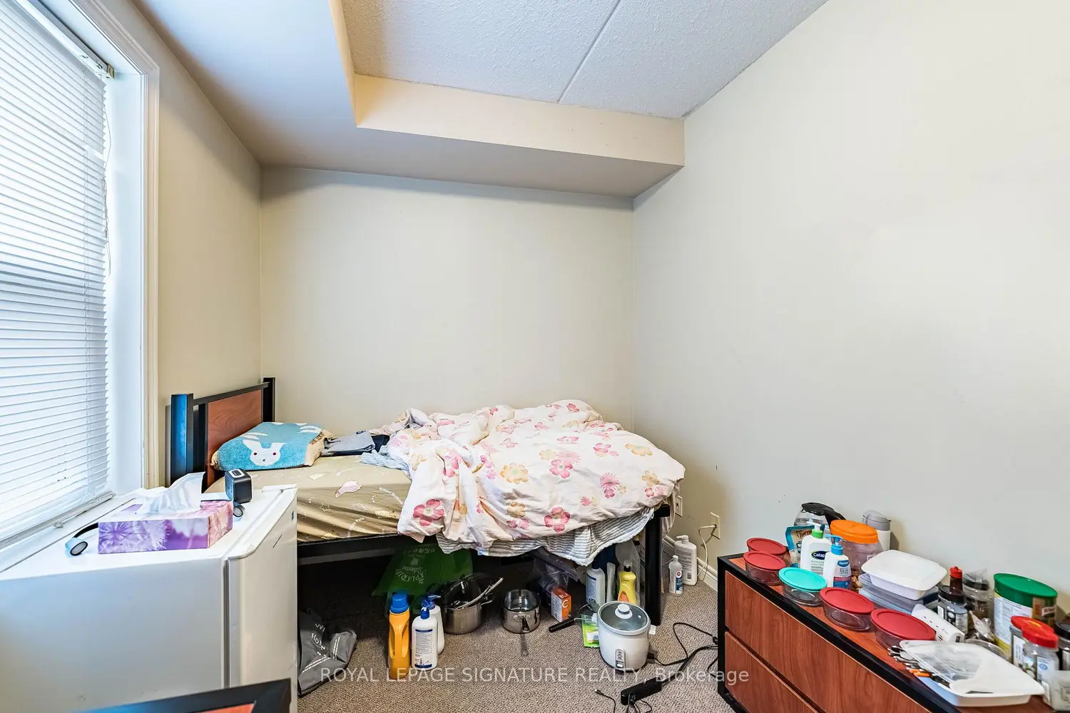 Additional image 16 of 253 Lester Street 203