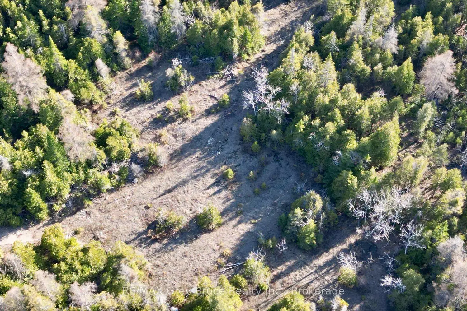 Additional image 14 of 717 Spry Road