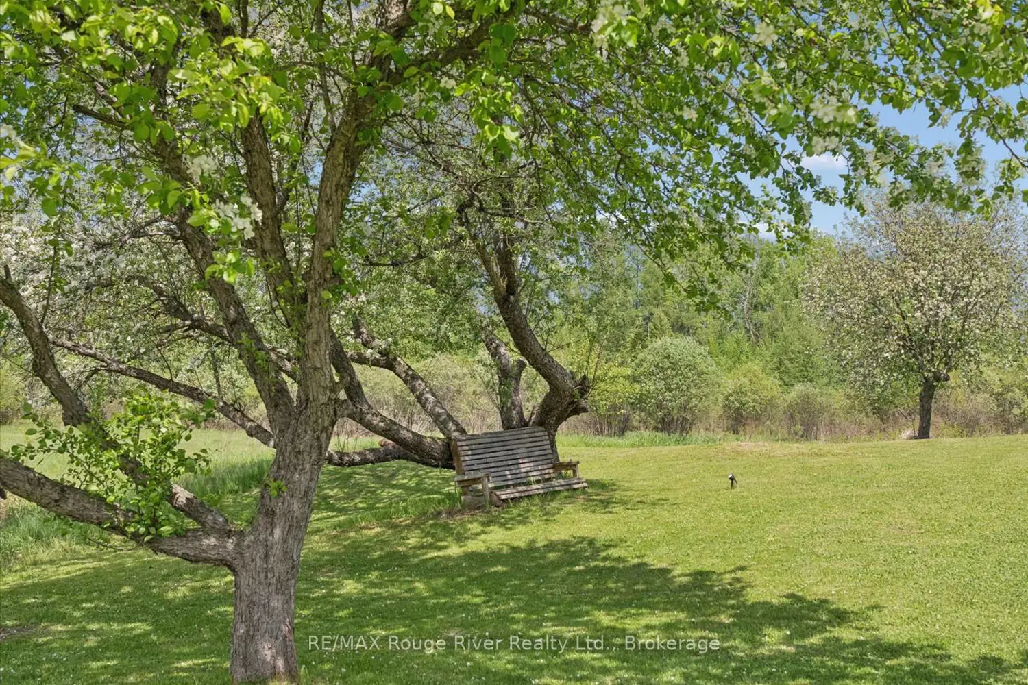Additional image 16 of 312 Boyd Road