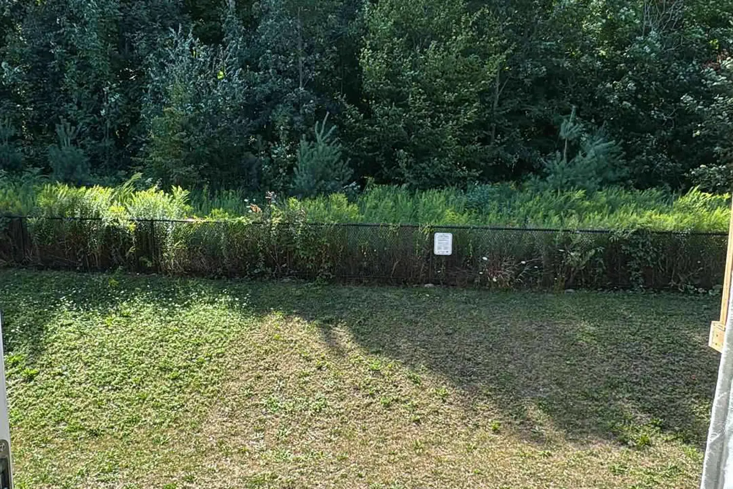 928 Robert Ferrie Drive photo 3