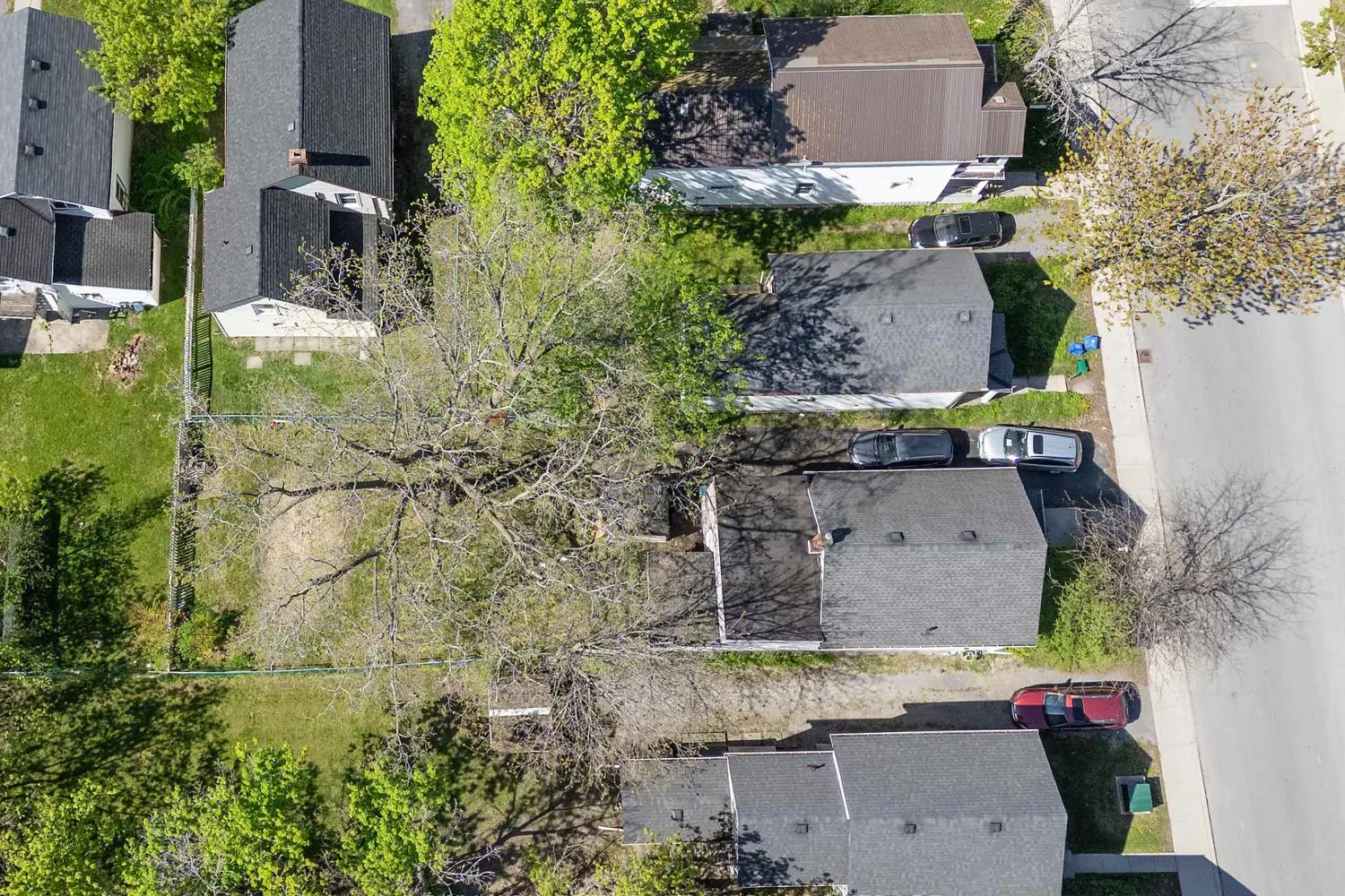 216 Alfred Street photo 3