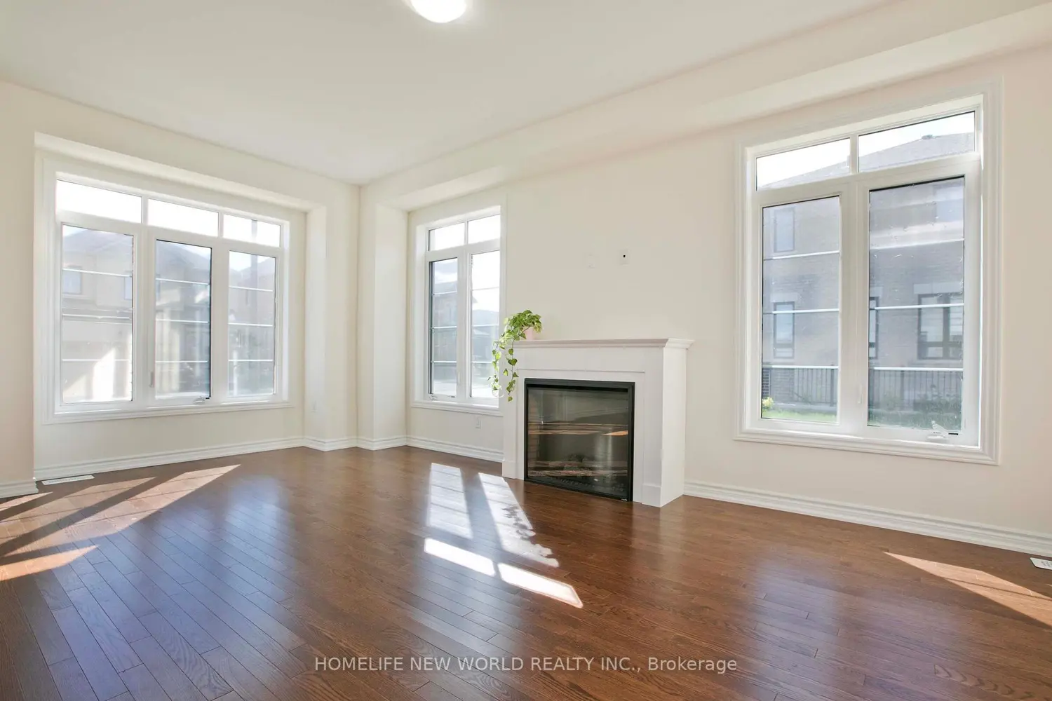 Additional image 6 of 1864 Irish Moss Square