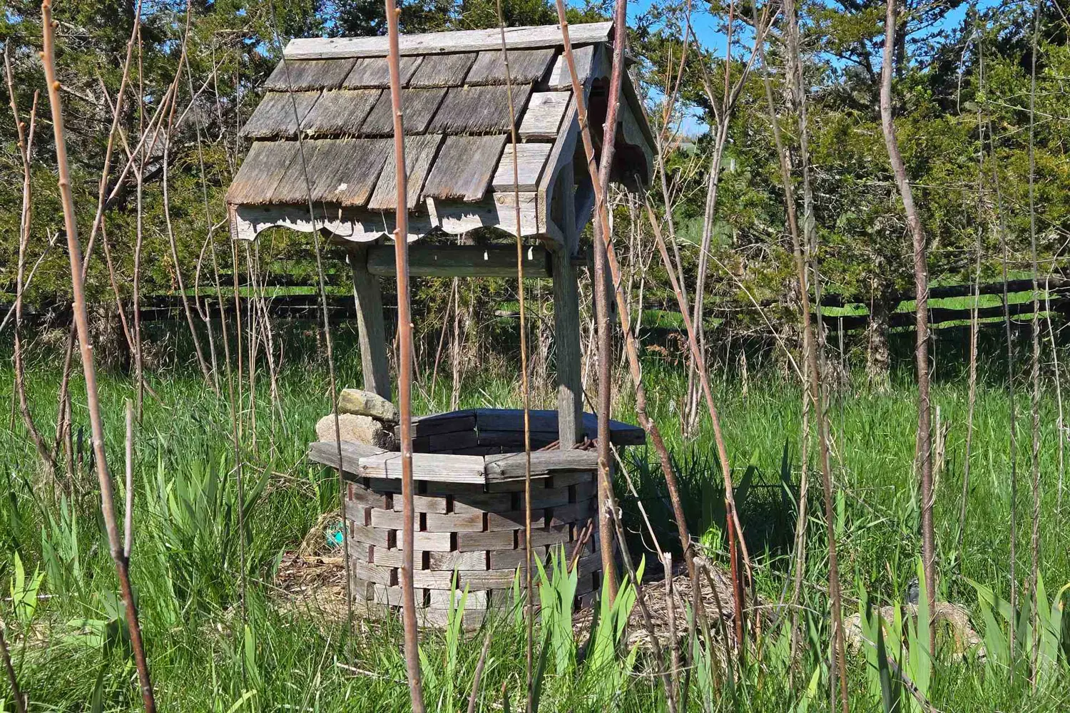 Additional image 7 of 3161 Blessington Road