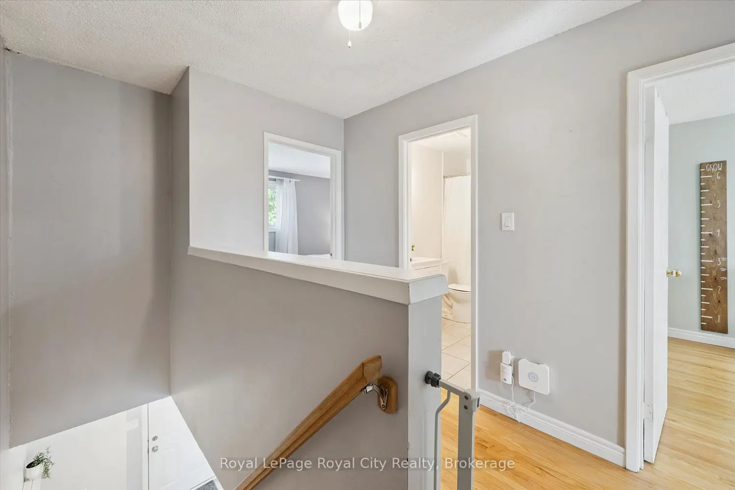41 Rhonda Road 23 photo 5