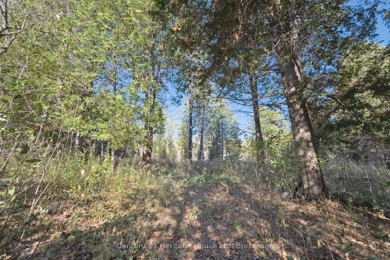 Additional image 20 of 323135 Durham Road