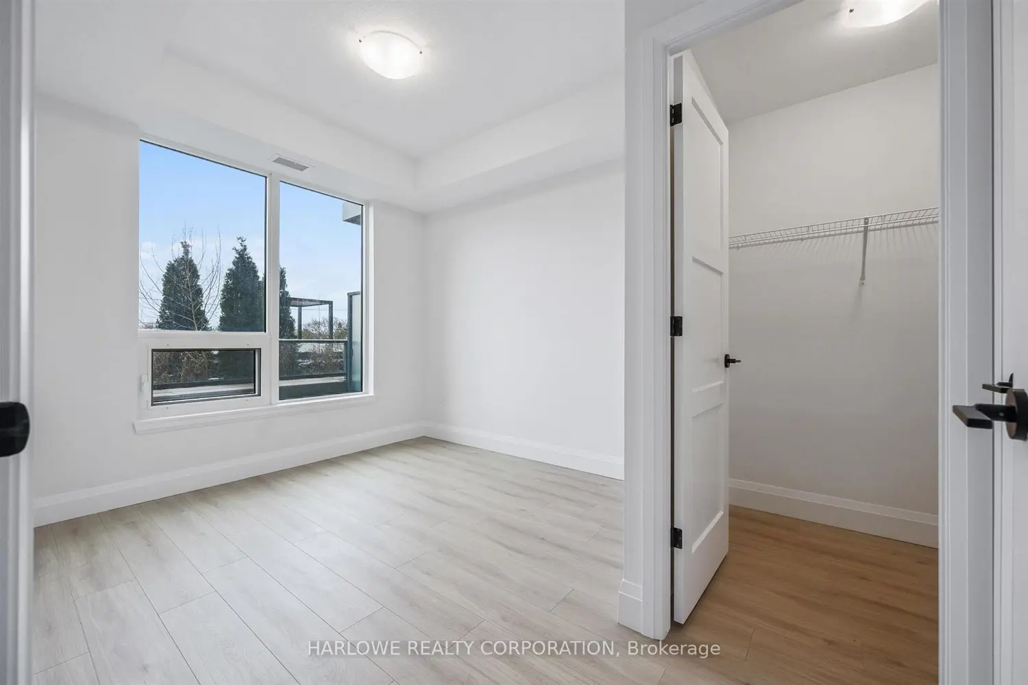 93 Arthur Street 301 photo 5