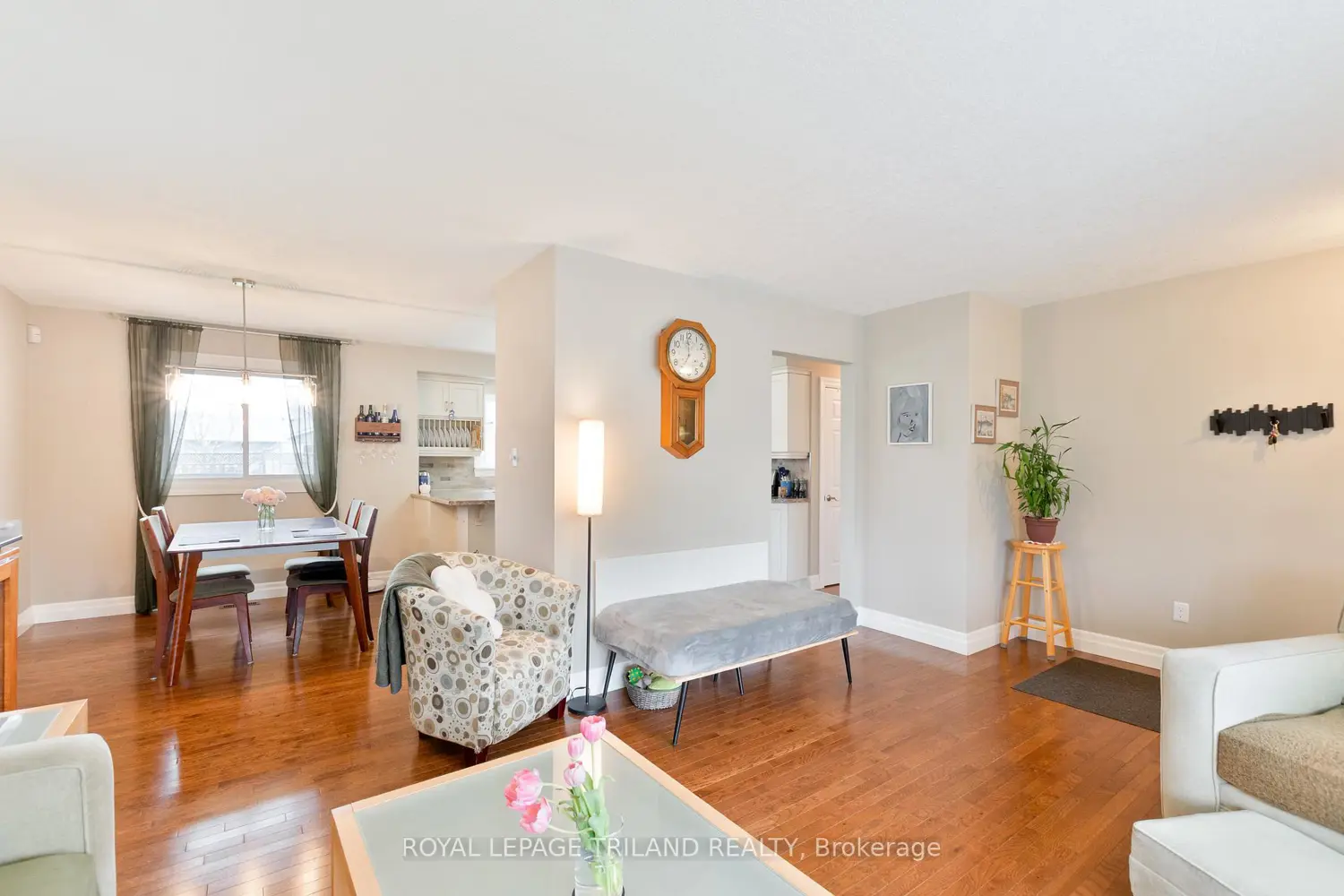 41 Dunwich Drive photo 4