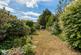 Barnfield Avenue, Kingston Upon Thames KT2 photo 2