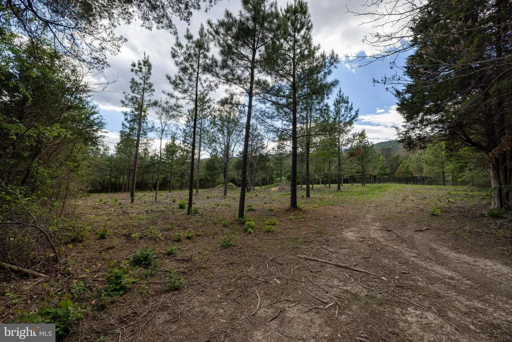Additional image 17 of Boliver Road, Fort Valley, VA 22652