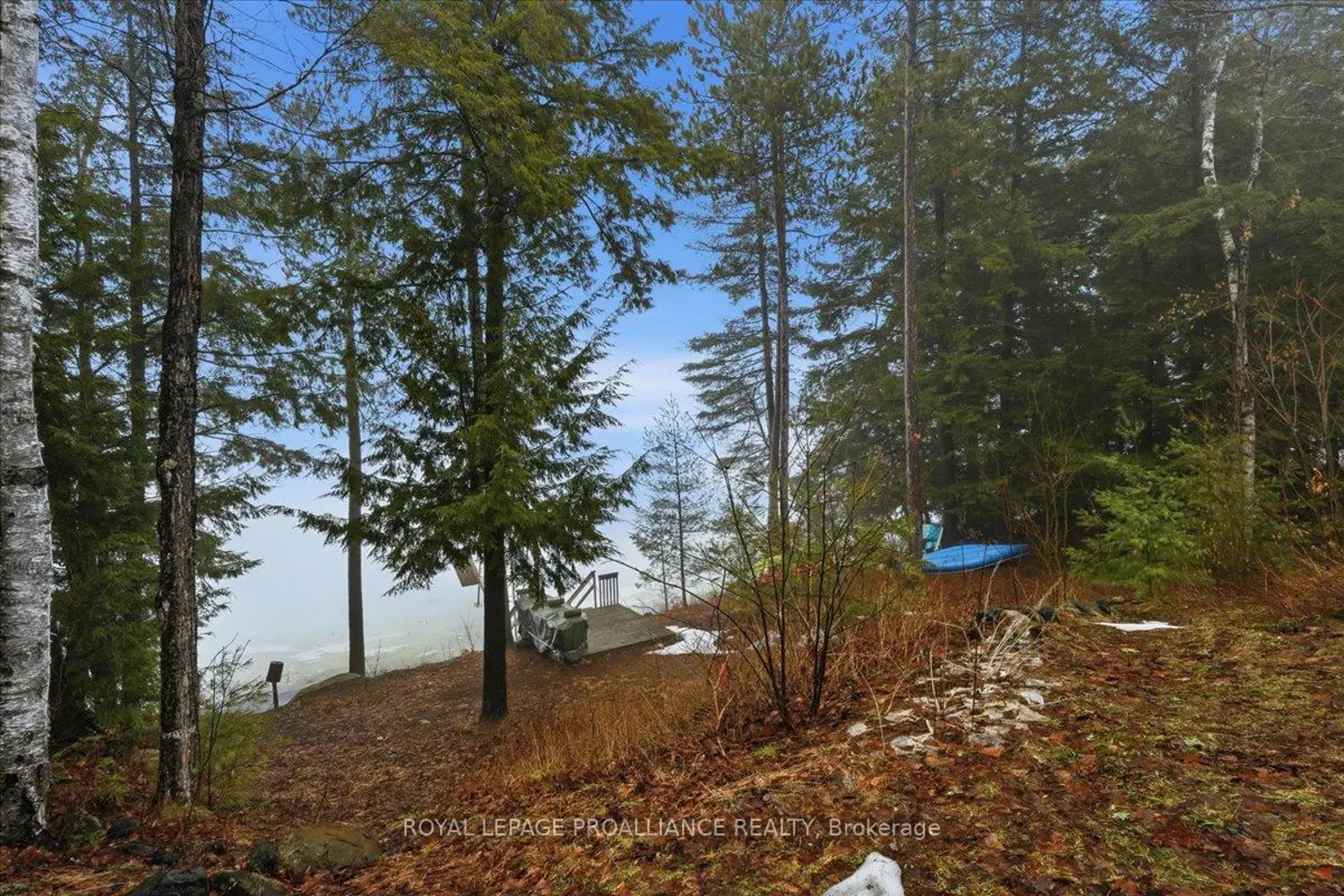 Additional image 11 of 399 Oborne Point Road