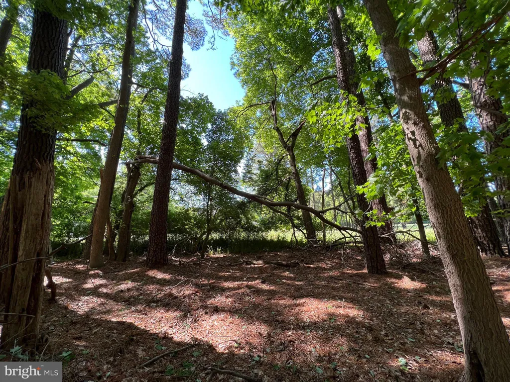 Additional image 5 of Parcel 40 Revells Neck Road, Westover, MD 21871