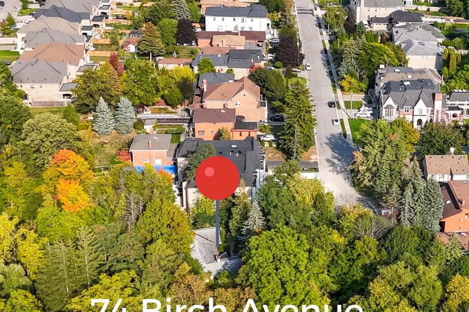 74 Birch Avenue photo 5